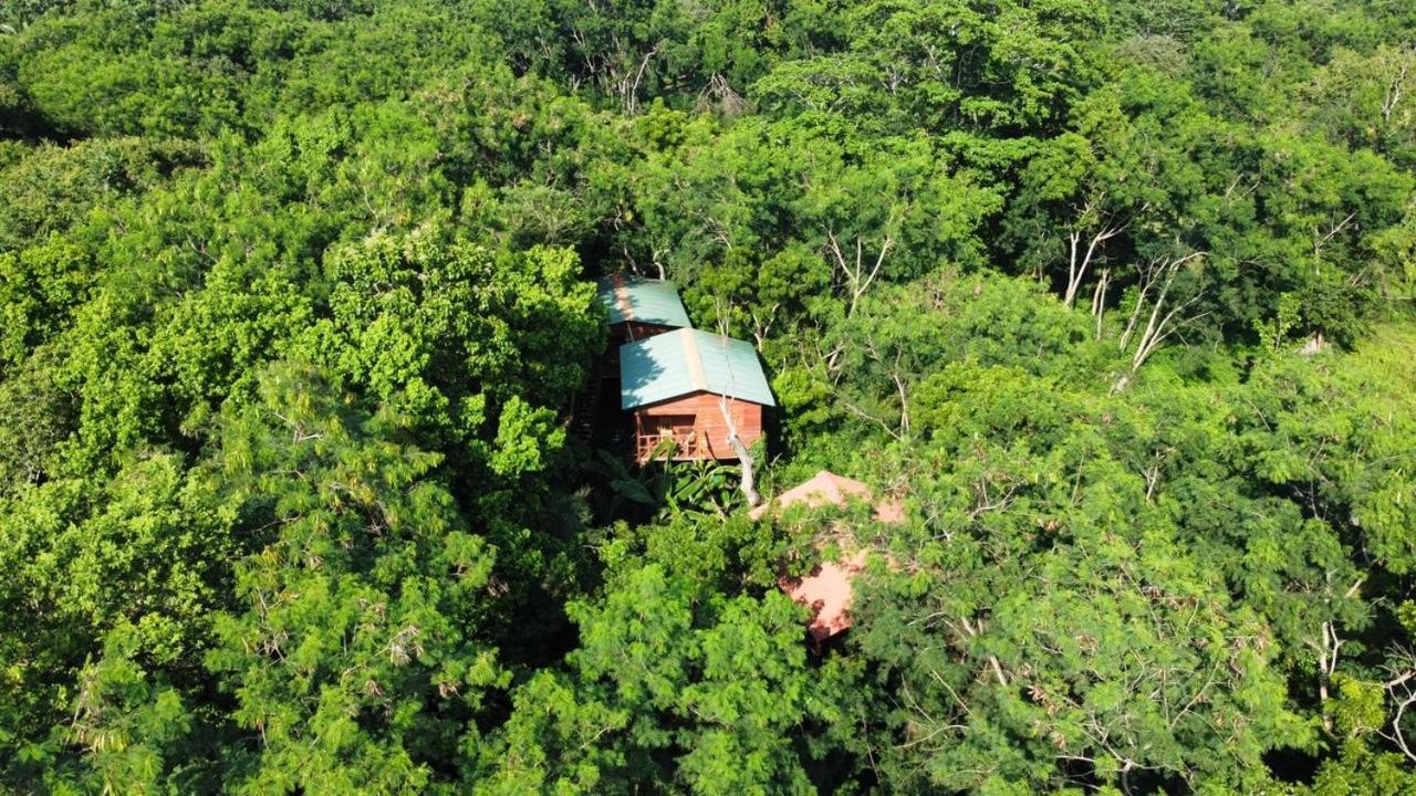 Tree House Hostel สิกิริยา ภายนอก รูปภาพ