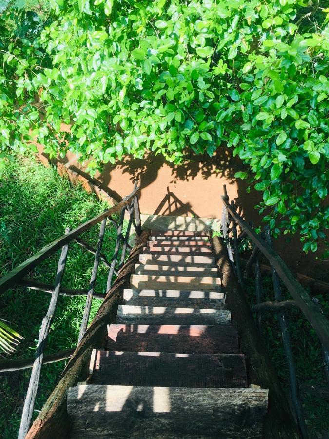 Tree House Hostel สิกิริยา ภายนอก รูปภาพ
