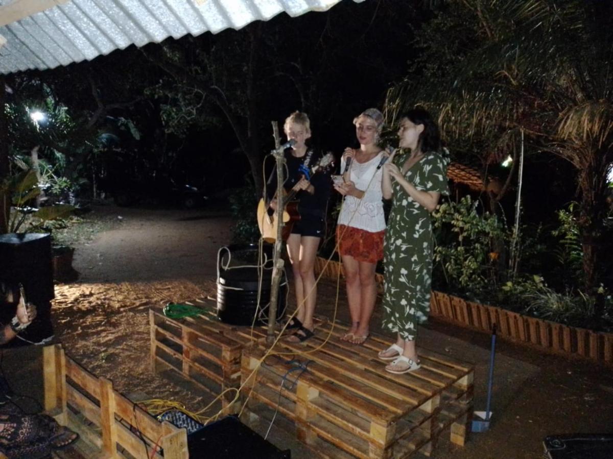Tree House Hostel สิกิริยา ภายนอก รูปภาพ