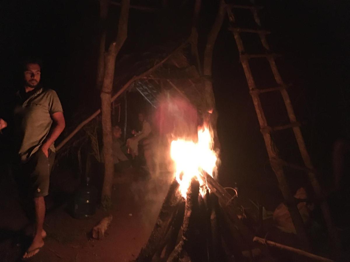 Tree House Hostel สิกิริยา ภายนอก รูปภาพ