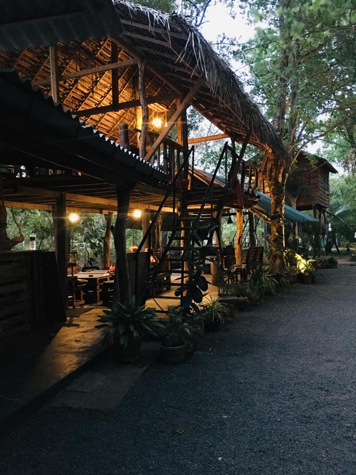 Tree House Hostel สิกิริยา ภายนอก รูปภาพ