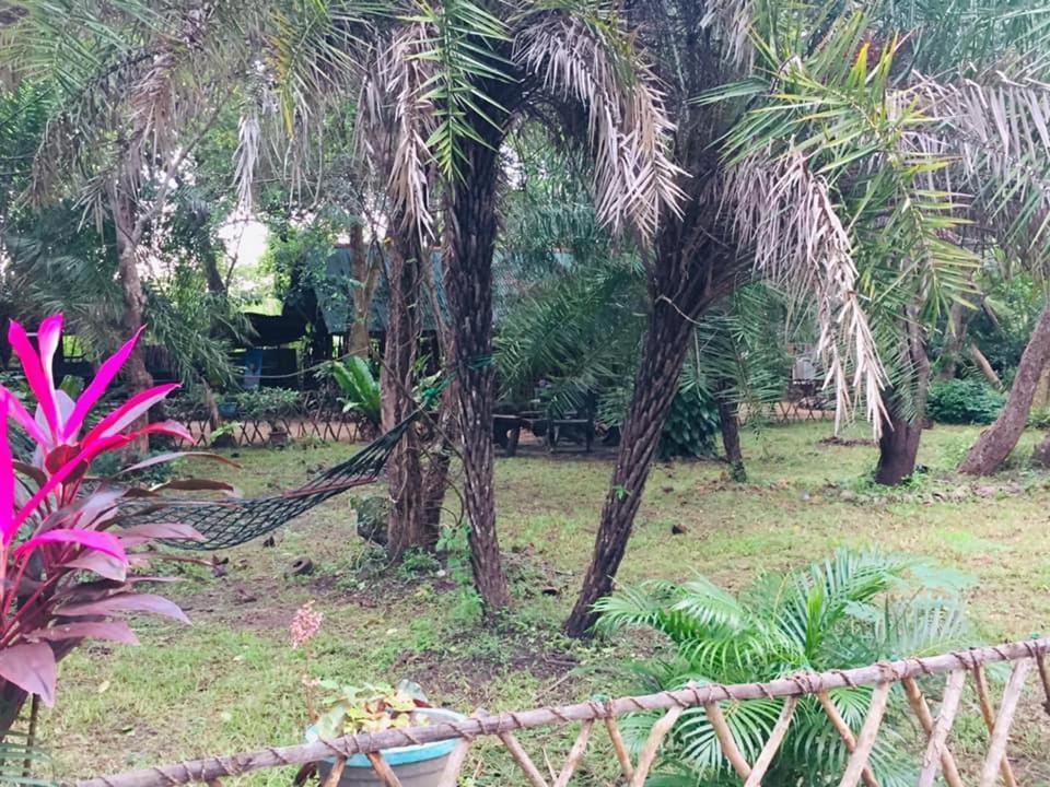 Tree House Hostel สิกิริยา ภายนอก รูปภาพ