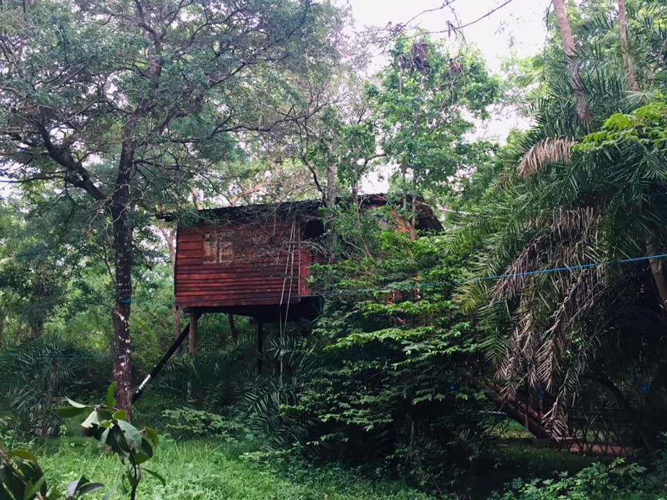 Tree House Hostel สิกิริยา ภายนอก รูปภาพ