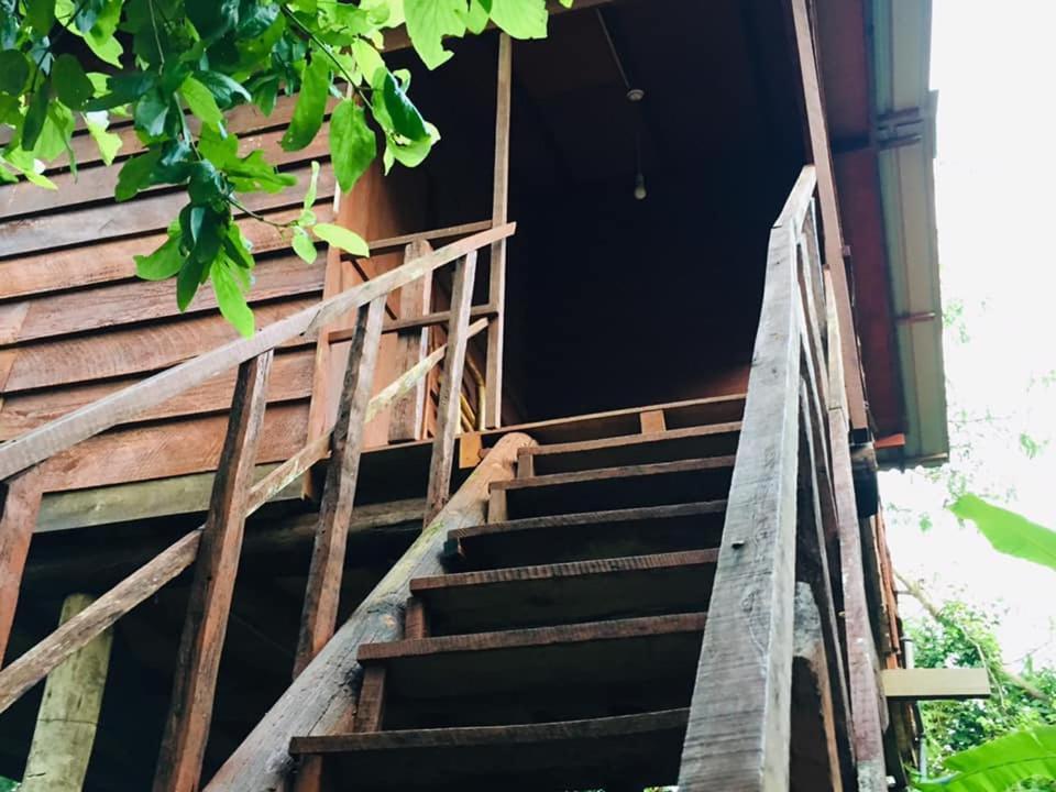 Tree House Hostel สิกิริยา ภายนอก รูปภาพ