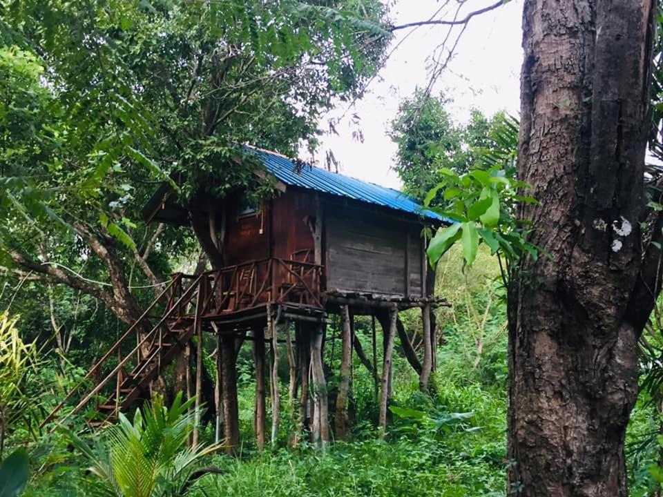 Tree House Hostel สิกิริยา ภายนอก รูปภาพ