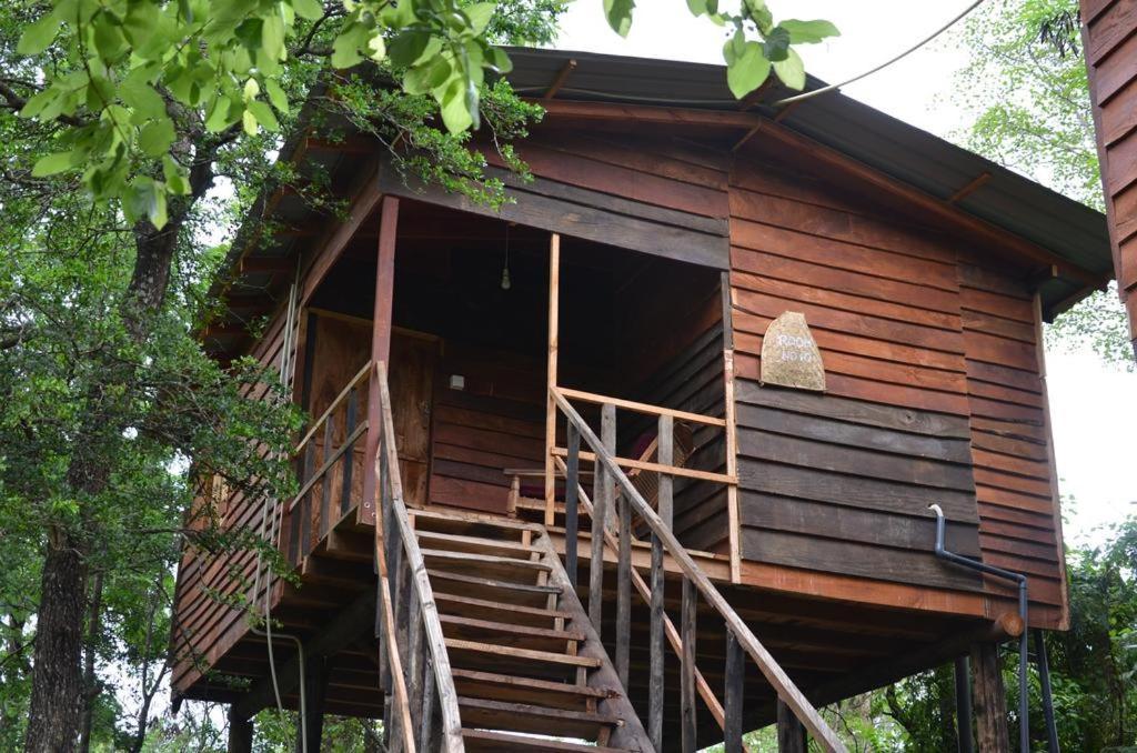 Tree House Hostel สิกิริยา ภายนอก รูปภาพ