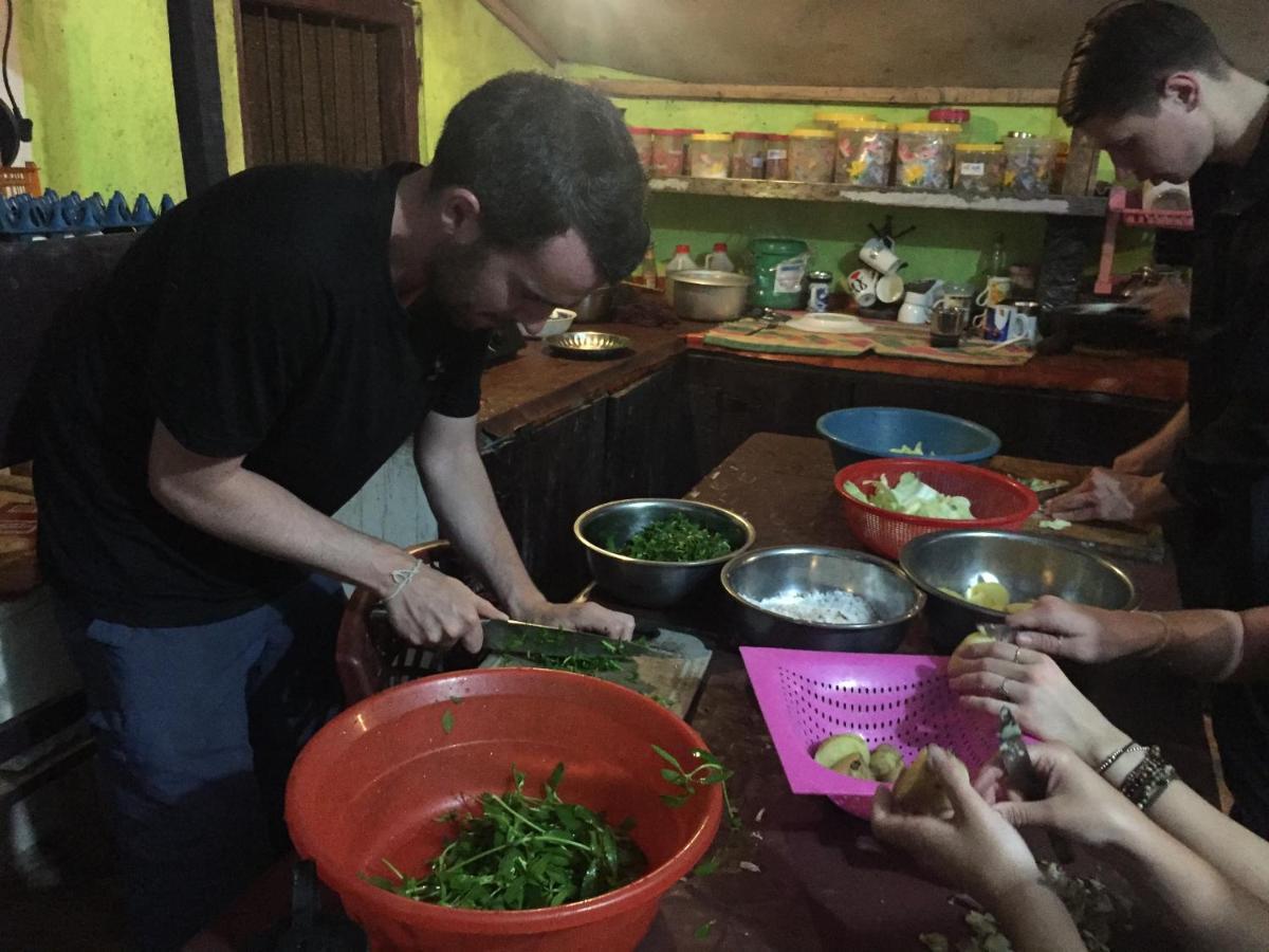 Tree House Hostel สิกิริยา ภายนอก รูปภาพ